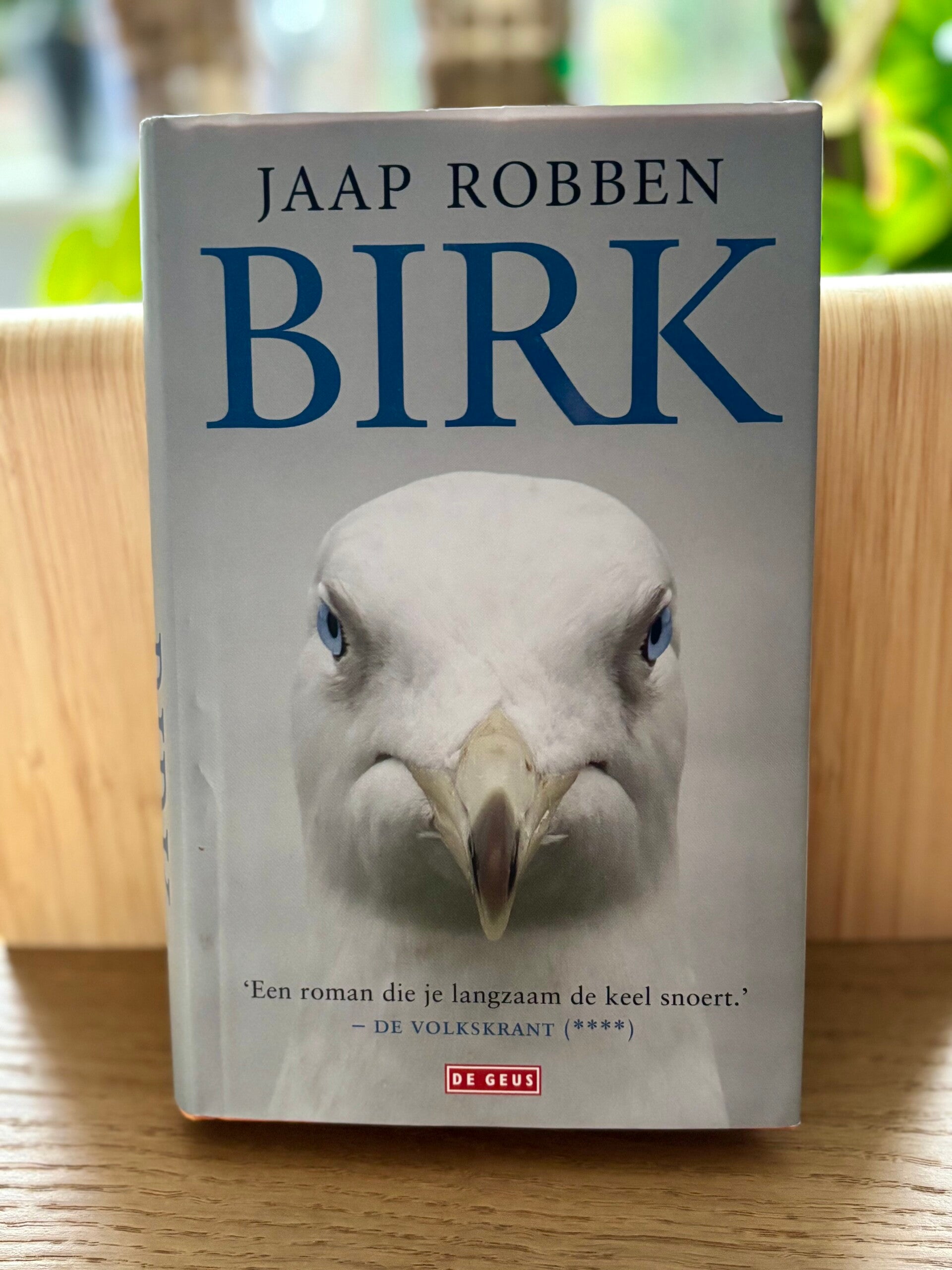 Birk - Jaap Robben