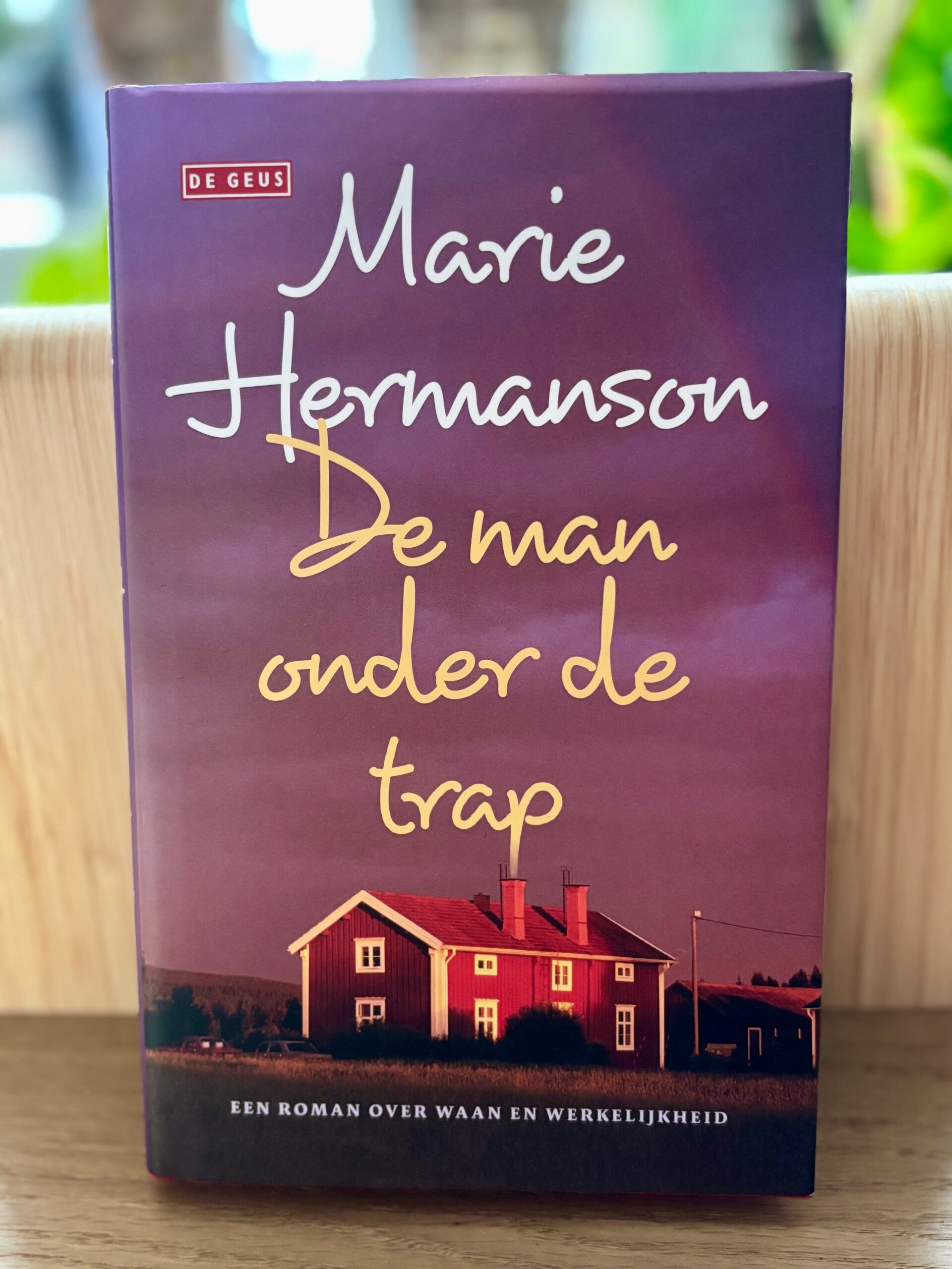 De man onder de trap - Marie Hermanson