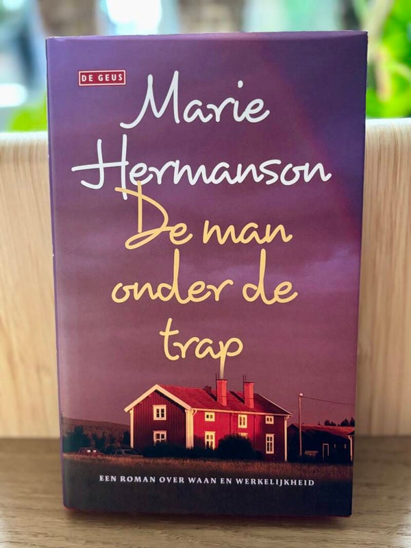 De man onder de trap - Marie Hermanson