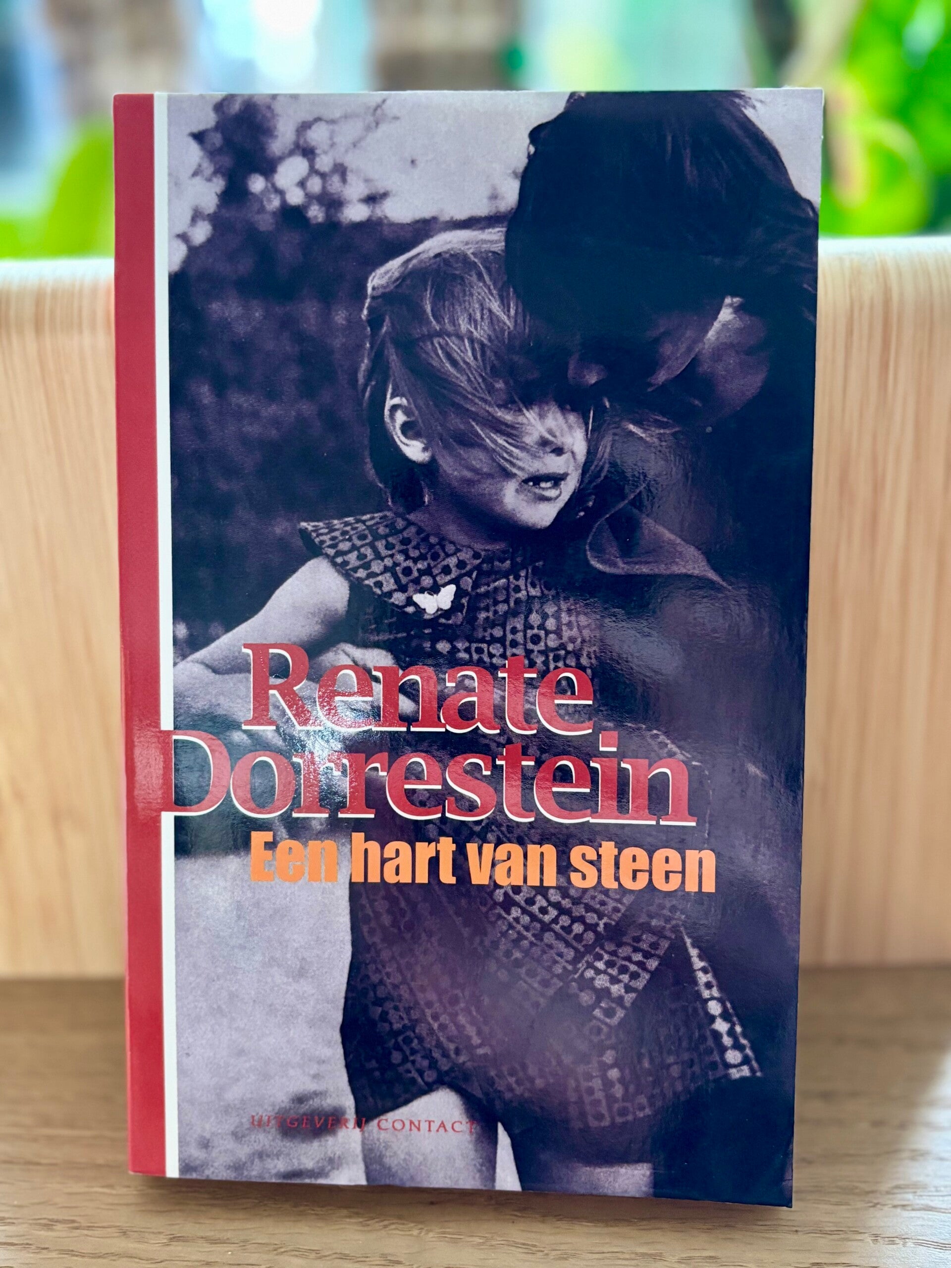 Een hart van steen - Renate Dorrestein