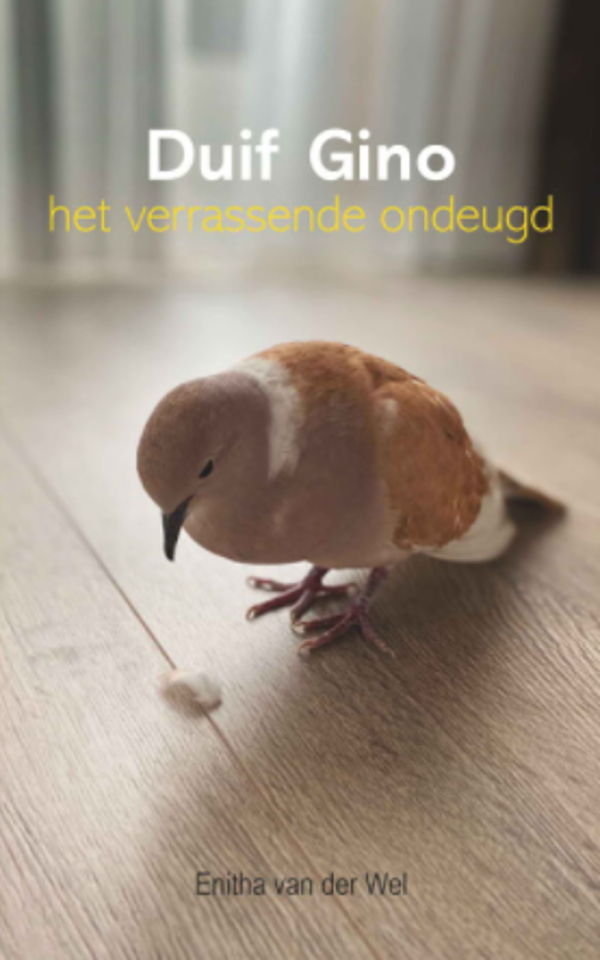 Boek | beknopte uitgave | Duif Gino, het verrassende ondeugd