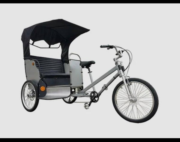 Paicab Bike Gray
