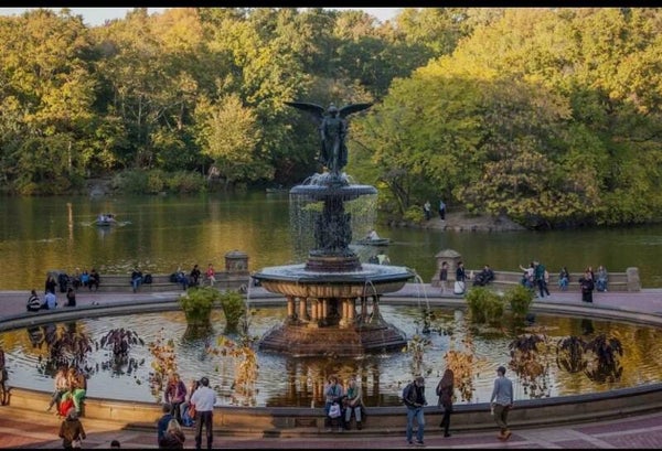 Central Park Tour