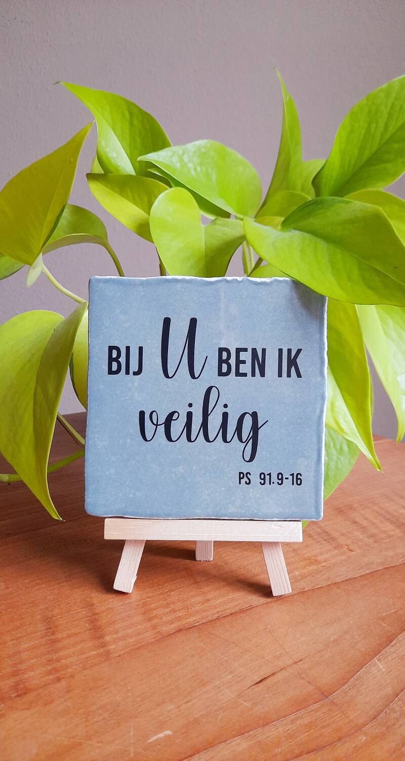 tegeltje-bij-u-ben-ik-veilig-standard.jpg