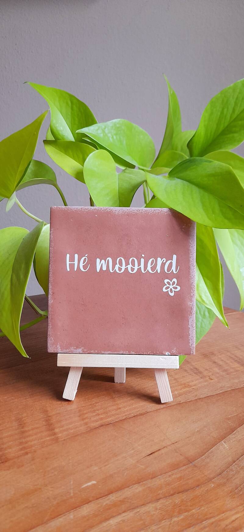 tegeltje-h-mooierd-standard.jpg