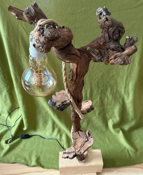 Wurzel mit Licht