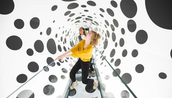 Paradox Museum & Bike tour