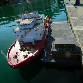 tug-n-steam-day-sun-7th-sept-1-standard.jpg