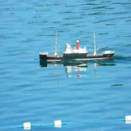 tug-n-steam-day-sun-7th-sept-2-standard.jpg