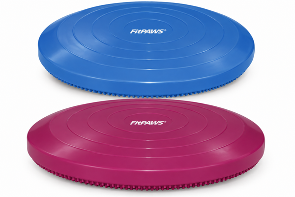 FitPAWS Balance Disc