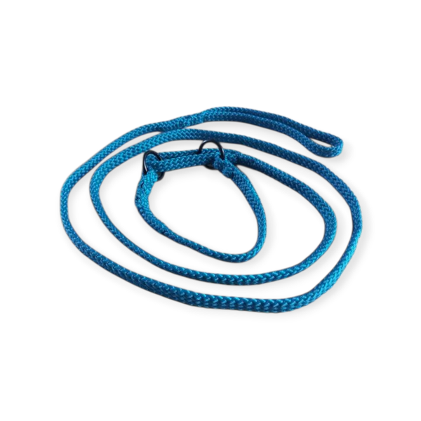 Agilitylijn half sliplijn ppm aquamarijn