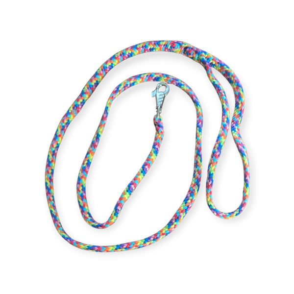 Hondenlijn ppm regenboog