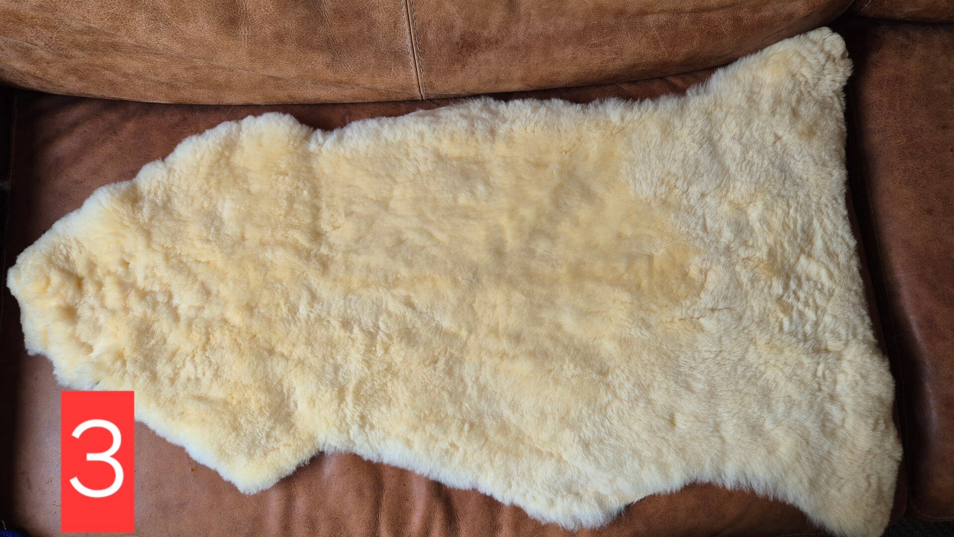 Schapenvacht geschoren 3