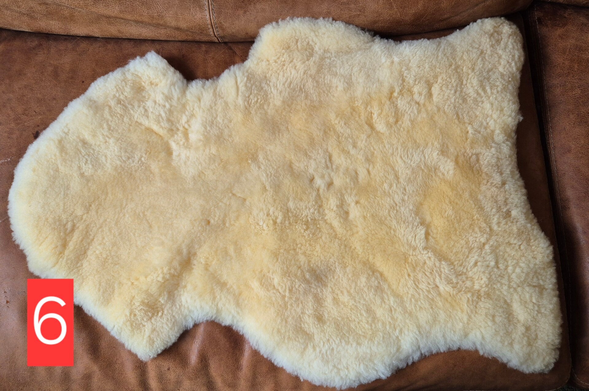 Schapenvacht geschoren 6