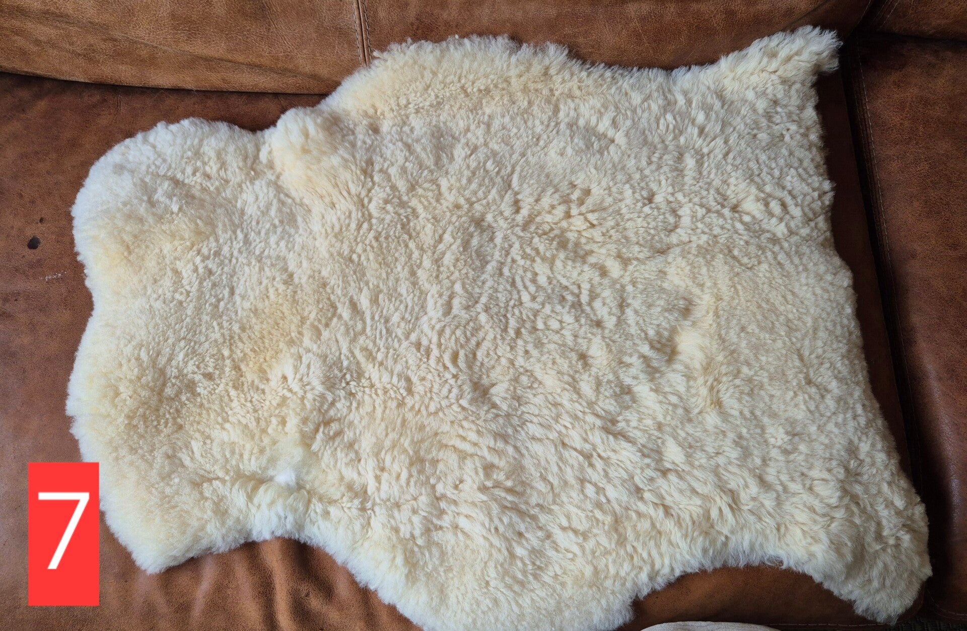 Schapenvacht geschoren 7