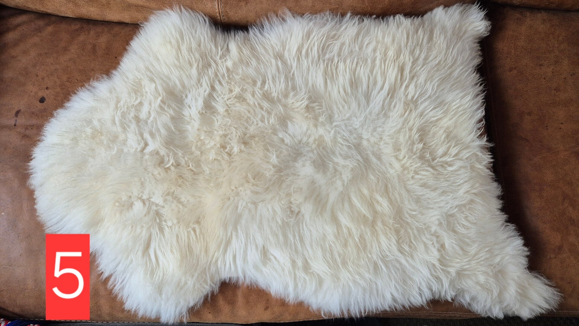 Schapenvacht lang 5