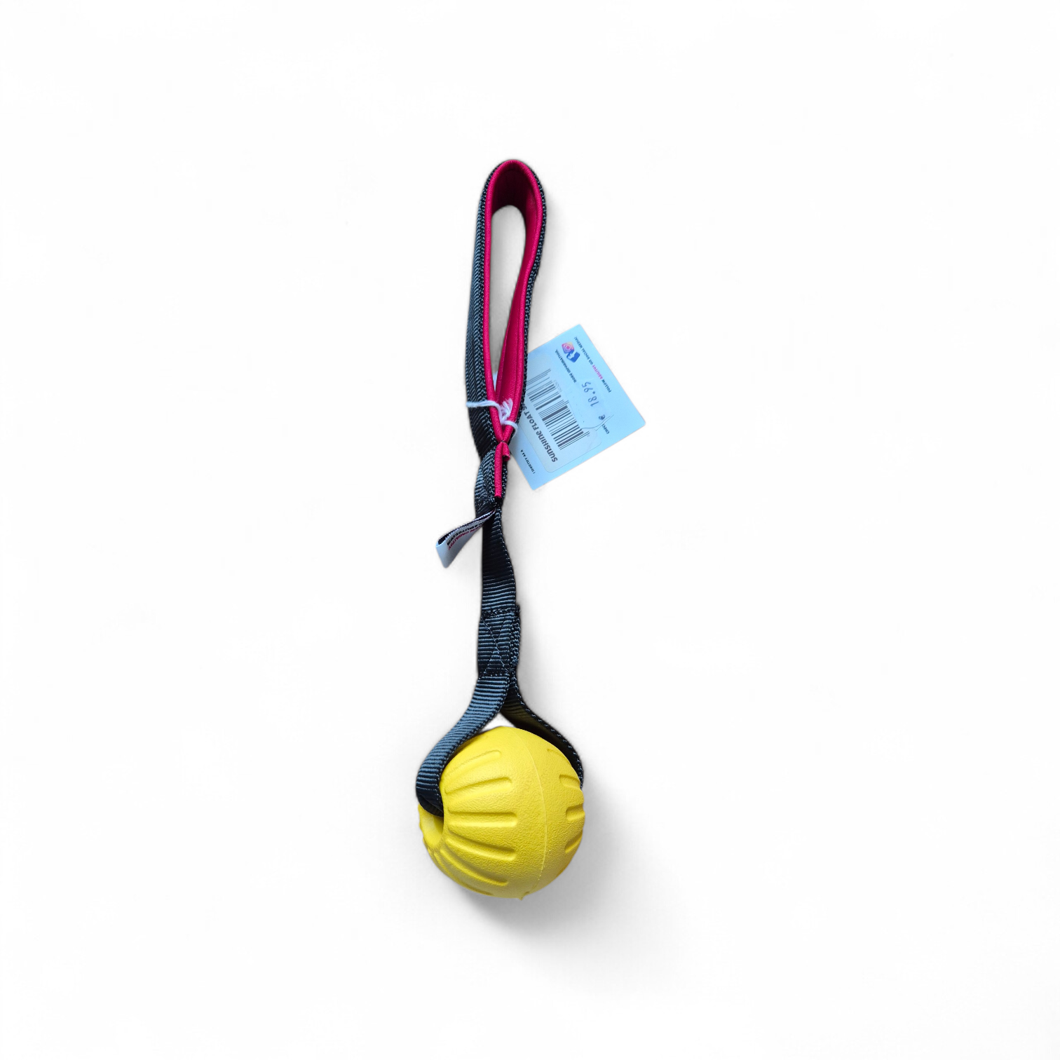 Agilitoy sunshine float short m tugtoy