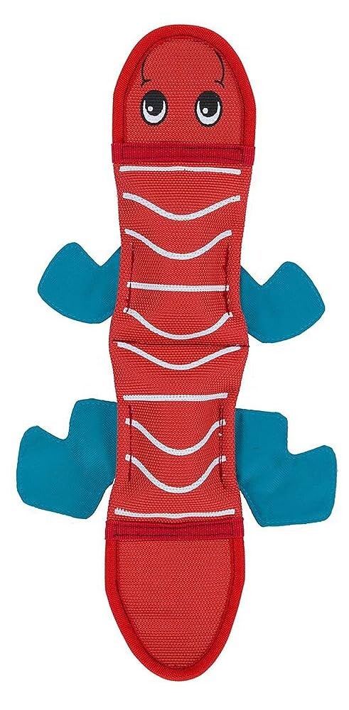 Outward hound Fire Biterz Lizard Fire Hose