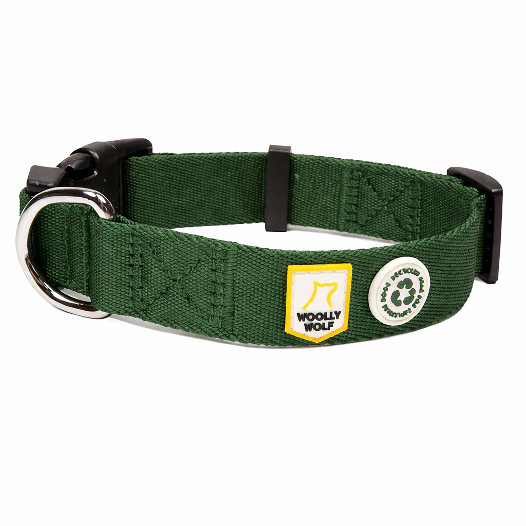 Woolly Wolf evergeen halsband