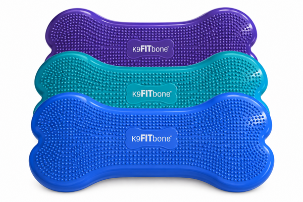 K9FITbone giant