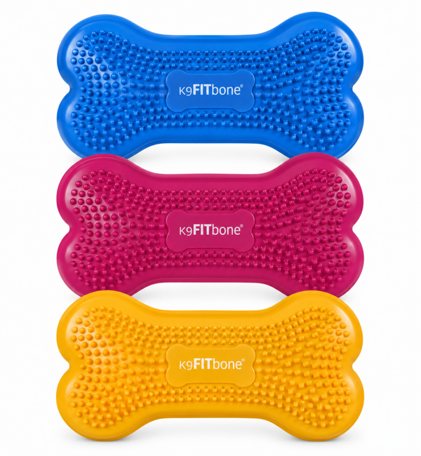 FitPaws bone mini, set of 2
