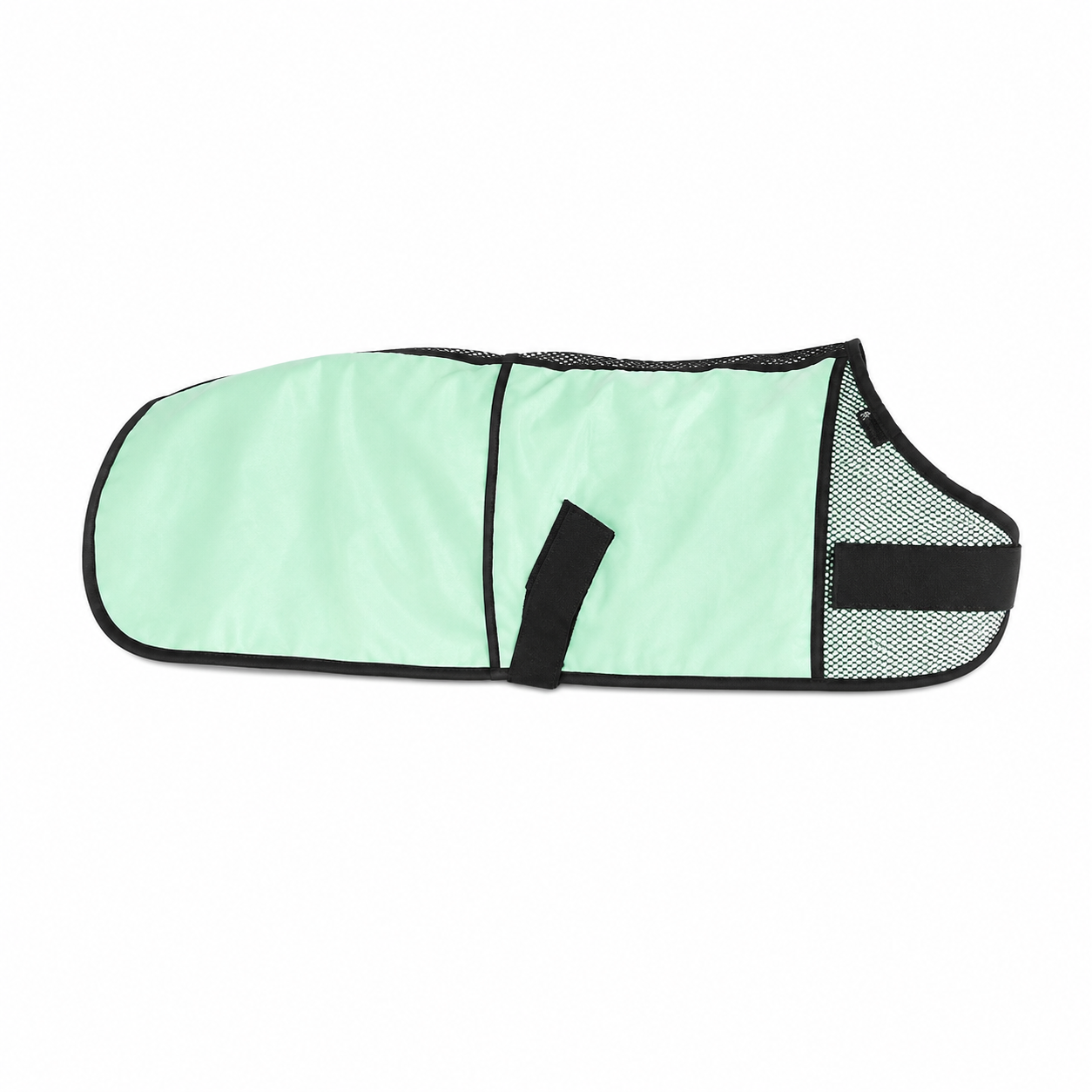 Sofa dog wear cool one