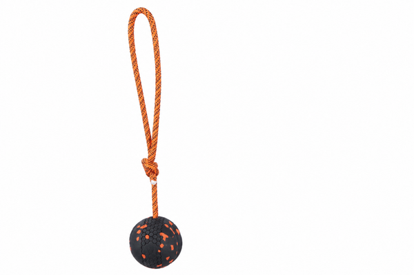 Non-stop dogwear ball met touw