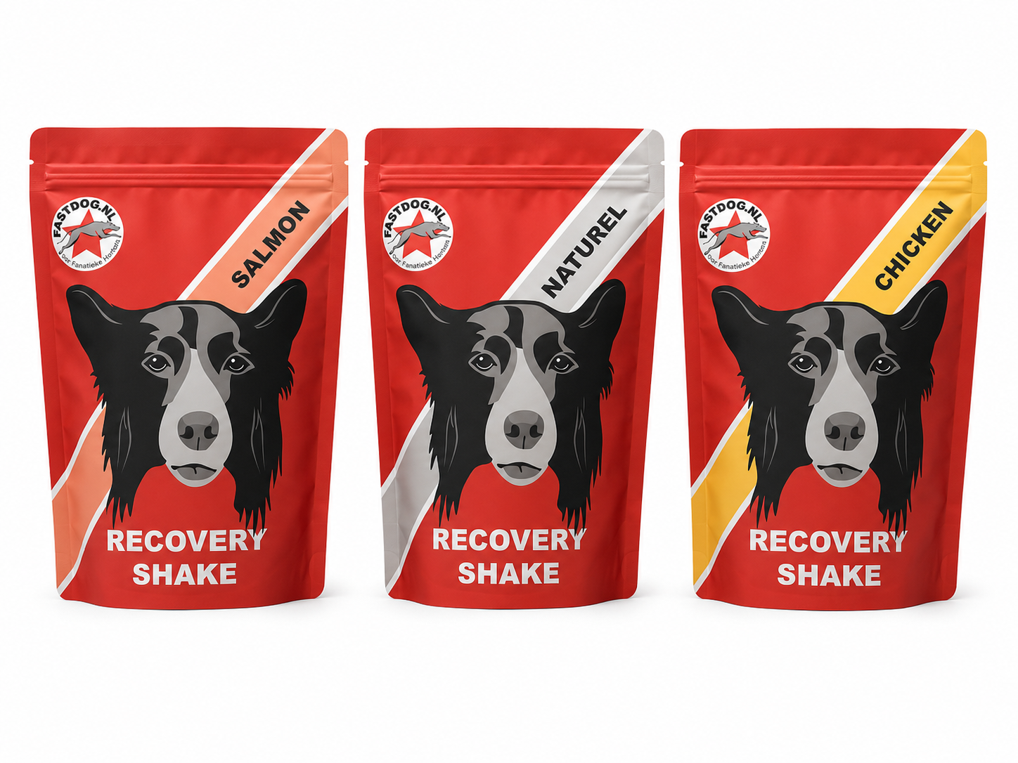 Fastdog Recovery power