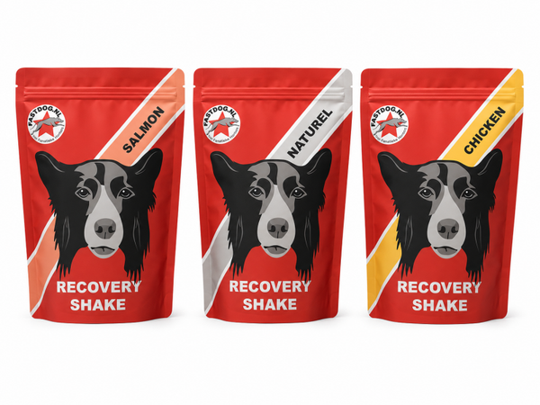 Fastdog Recovery power