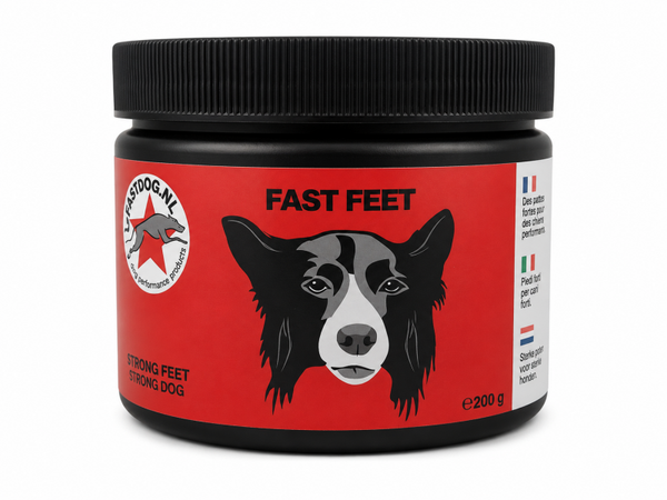 FastDog Fast Feet