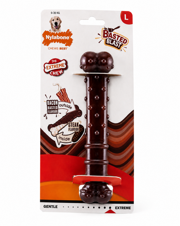 Nylabone Chew Basted Blast Large