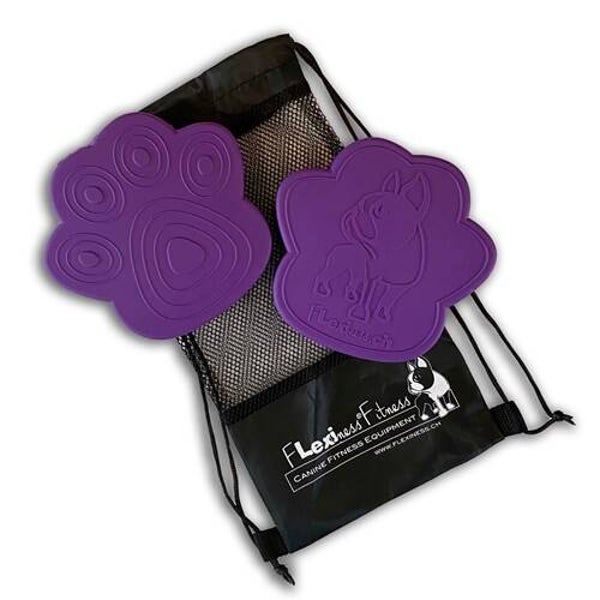 Flexiness ToyPawDisc, Purple 2 stuks