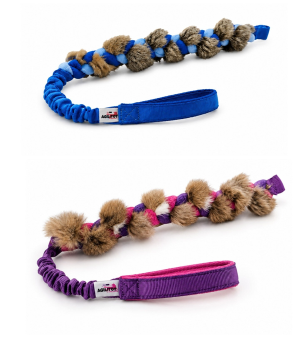 Agilitoy Rabraidy tugtoy