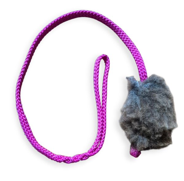 Koira dog collars tugtoy