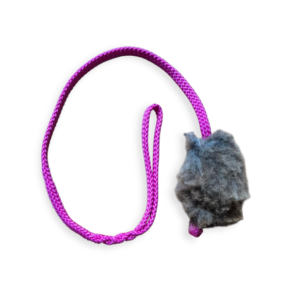 Koira dog collars tugtoy