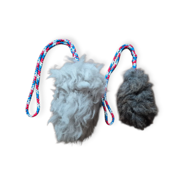 Koira dog collars tugtoy 0