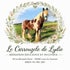 Le carrouzele de lydie