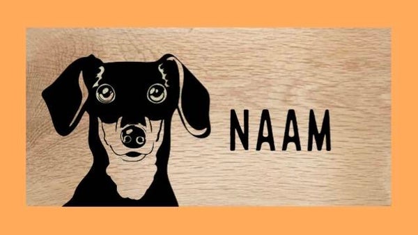 Hondenbord : dashond