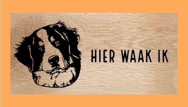 Hondenbord : Berner sennen