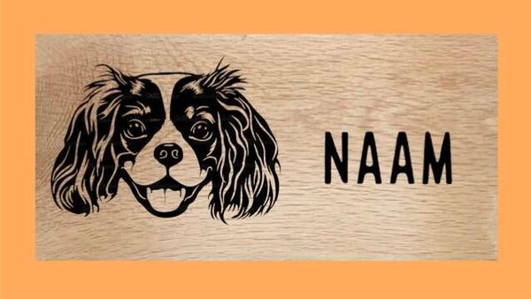 Hondenbord : Cavalier King Charles