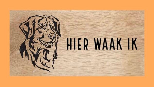 Hondenbord : Nova Scotia Duck Tolling Retriever