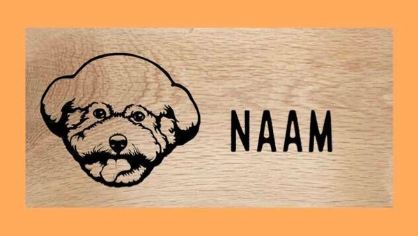 Hondenbord : Bichon frisé