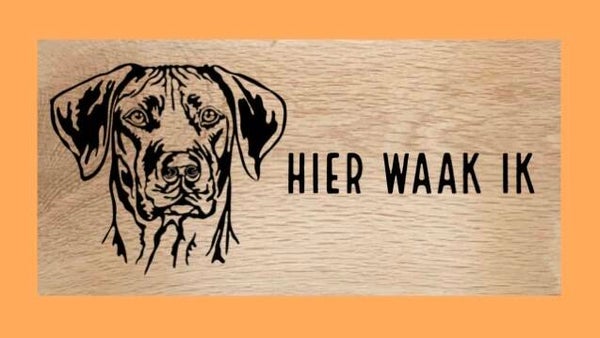 Hondenbord : Rhodesian Ridgeback