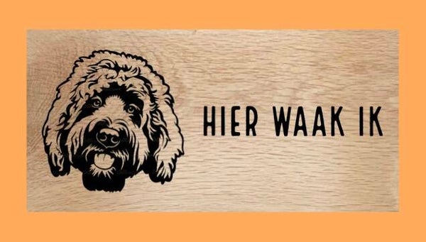 Hondenbord : labradoodle