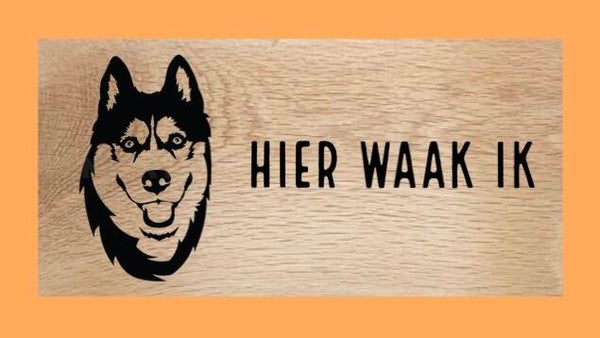 Hondenbord : husky