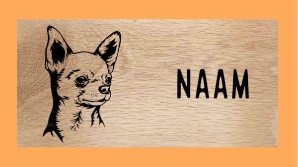 Hondenbord : Chihuahua (kortharig)