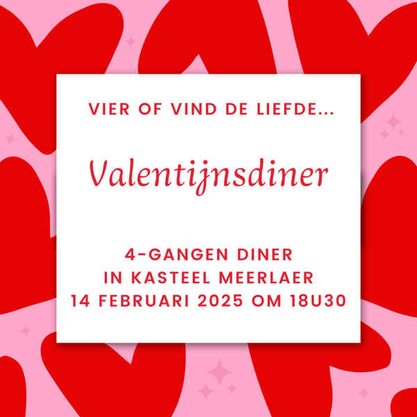Valentijnsdiner Kasteel Meerlaer