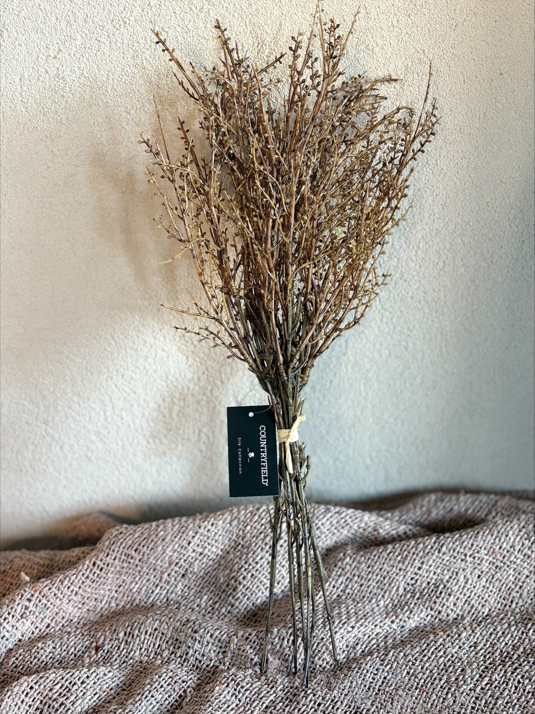 Bundel Betula 6 bruin