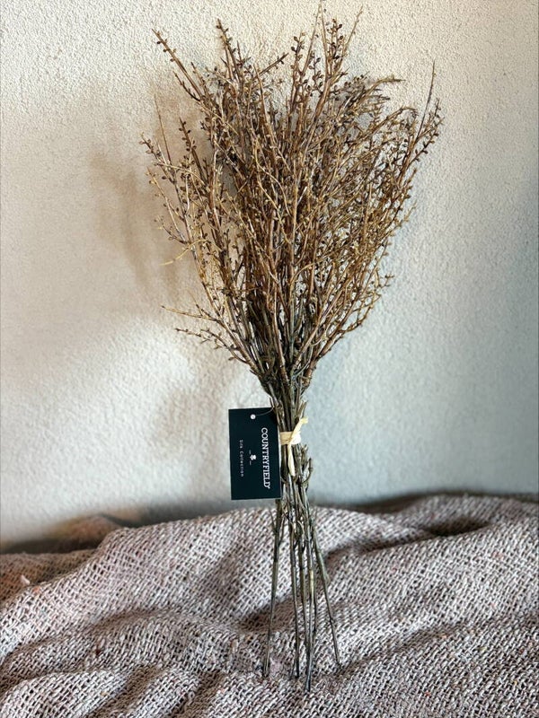 Bundel Betula 6 bruin
