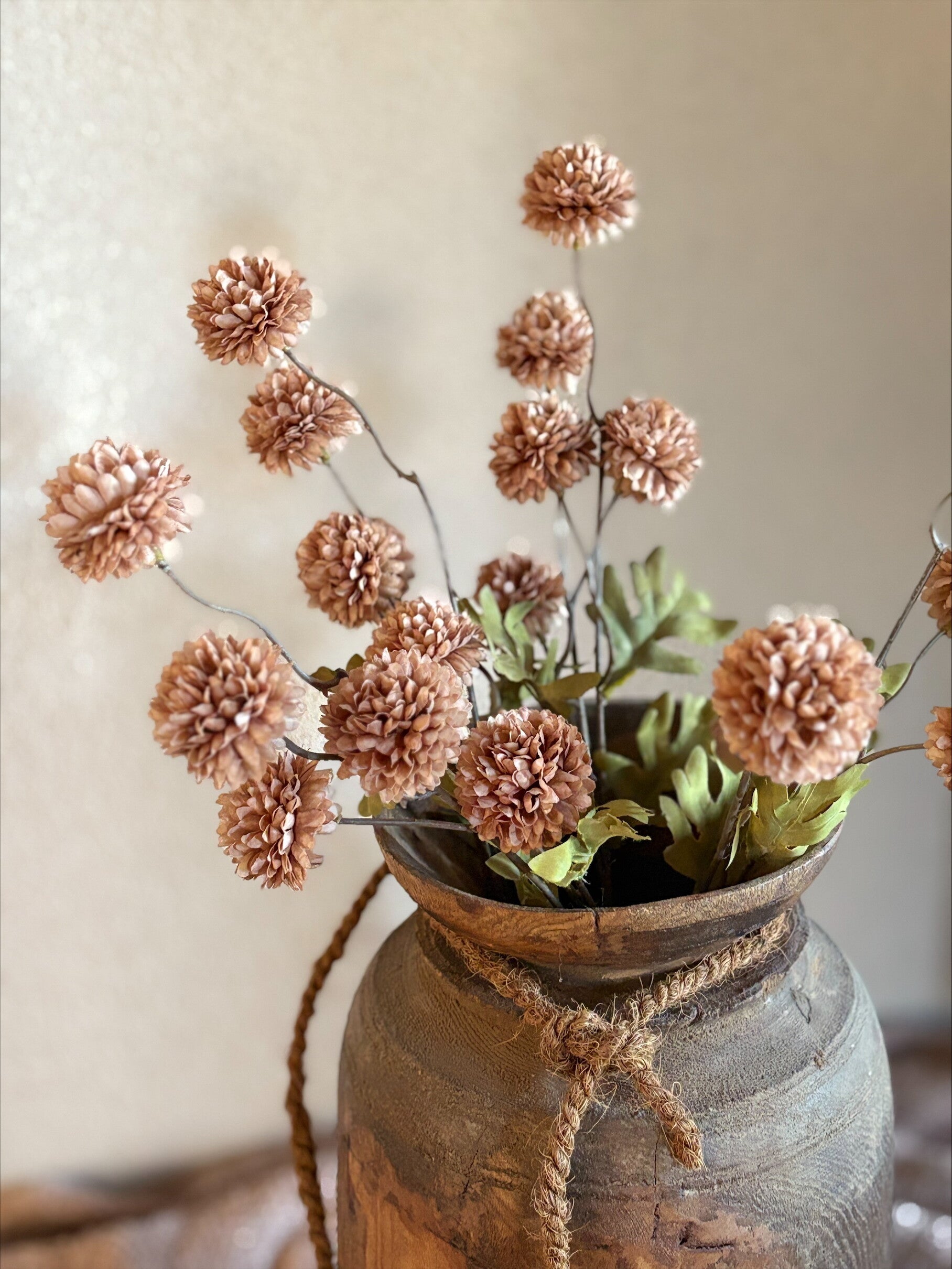 Dhalia bruin M